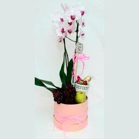 Orquídea com mix de frutas e chocolates